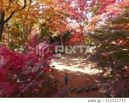 雀宮公園　　　（埼玉県寄居町） 111521737