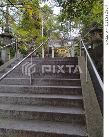 冬の尾張多賀神社 111522837