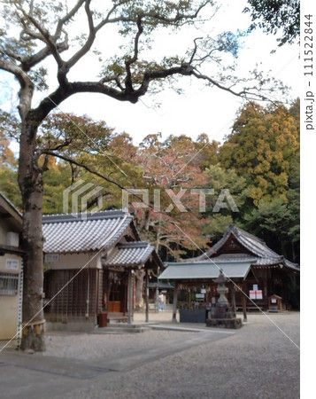 冬の尾張多賀神社 冬の尾張多賀神社 111522844