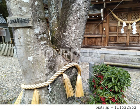 冬の尾張多賀神社 111522852