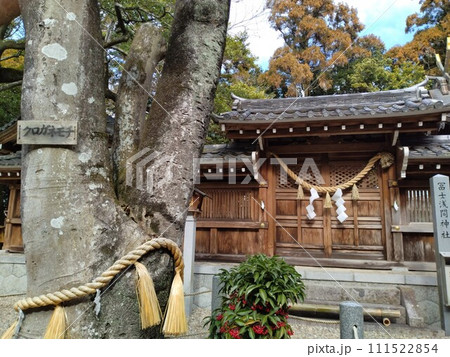 冬の尾張多賀神社 111522854