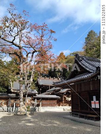 冬の尾張多賀神社 111522855