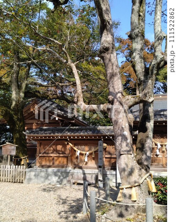 冬の尾張多賀神社 111522862
