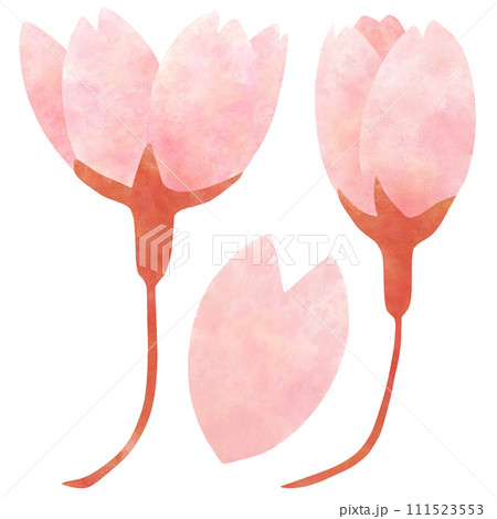 桜のつぼみの簡単かわいいイラスト素材 五分咲き 桜のつぼみの簡単かわいいイラスト素材 五分咲き 111523553