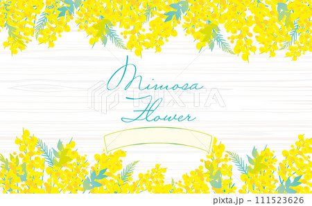 可愛い おしゃれ ミモザの背景イラスト 可愛い おしゃれ ミモザの背景イラスト 111523626
