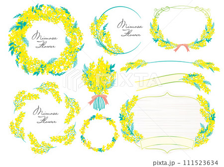 可愛い　おしゃれ　ミモザのイラスト素材セット 111523634