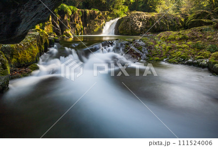 冬の菊池渓谷の水の流れが美しい渓谷美風景 冬の菊池渓谷の水の流れが美しい渓谷美風景 111524006