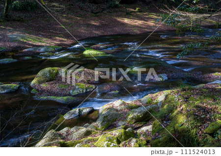冬の菊池渓谷の水の流れが美しい渓谷美風景 冬の菊池渓谷の水の流れが美しい渓谷美風景 111524013
