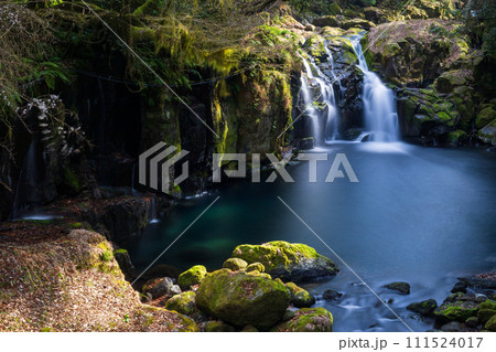 冬の菊池渓谷の水の流れが美しい渓谷美風景 111524017