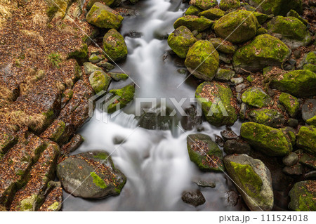 冬の菊池渓谷の水の流れが美しい渓谷美風景 111524018