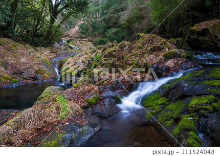 冬の菊池渓谷の水の流れが美しい渓谷美風景 冬の菊池渓谷の水の流れが美しい渓谷美風景 111524048