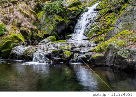 冬の菊池渓谷の水の流れが美しい渓谷美風景 冬の菊池渓谷の水の流れが美しい渓谷美風景 111524053