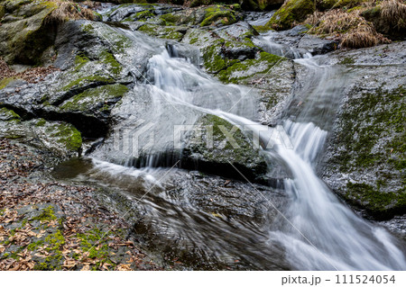 冬の菊池渓谷の水の流れが美しい渓谷美風景 冬の菊池渓谷の水の流れが美しい渓谷美風景 111524054