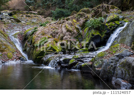 冬の菊池渓谷の水の流れが美しい渓谷美風景 111524057
