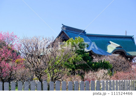 曽根天満宮 111524466