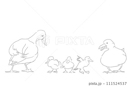 かわいいアヒルの親子の線画 セットのイラスト素材 [111524537] - PIXTA