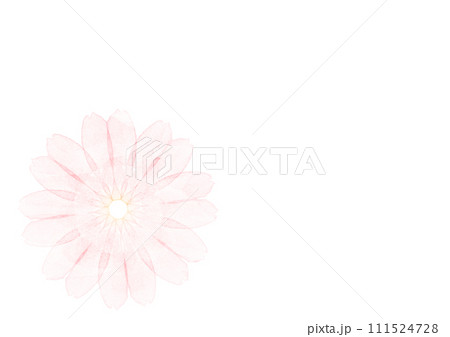 抽象的な水彩の赤い花1つの背景イラスト 抽象的な水彩の赤い花1つの背景イラスト 111524728