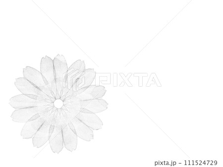 抽象的な水彩のモノクロの花ひとつの背景イラスト 抽象的な水彩のモノクロの花ひとつの背景イラスト 111524729