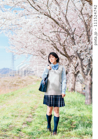 桜の咲いた河川敷を通学する女子高生 111524742