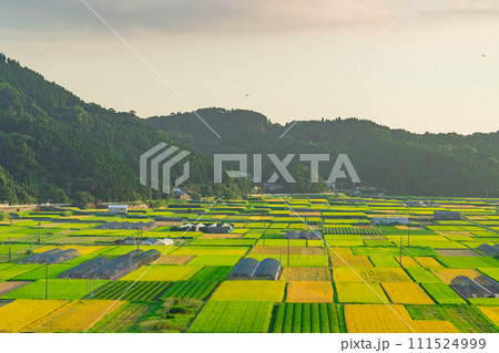 田園風景 111524999