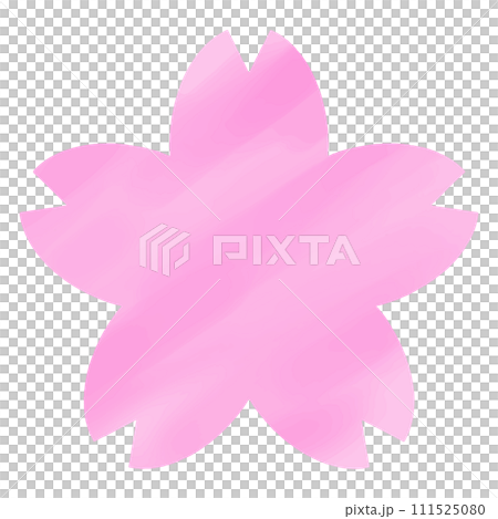 Pink watercolor cherry blossoms/illustration/material 111525080