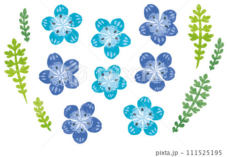 ネモフィラの花のイラスト 111525195