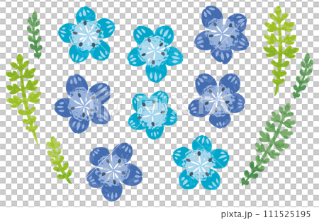 ネモフィラの花のイラスト 111525195