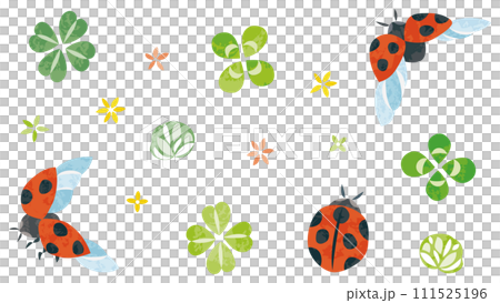 瓢蟲和四葉草的插圖 111525196