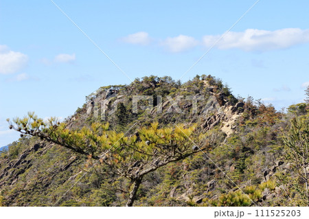 滋賀県　湖南アルプス堂山山頂付近の山肌 111525203