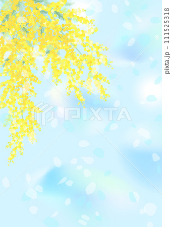 青空とミモザのイラスト 111525318