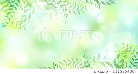 新緑　葉　風景　背景	 111525430