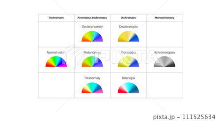 Color blindness poster 111525634