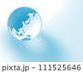 青い地球とネットワークイメージ 111525646
