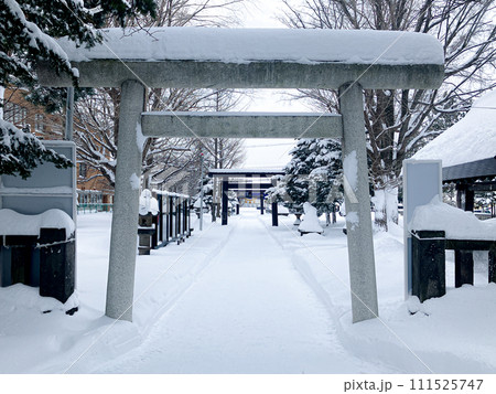 冬の江南神社鳥居（札幌） 111525747