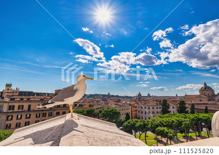 Rome Italy, high angle view city skyline at Rome city center with seagull 111525820