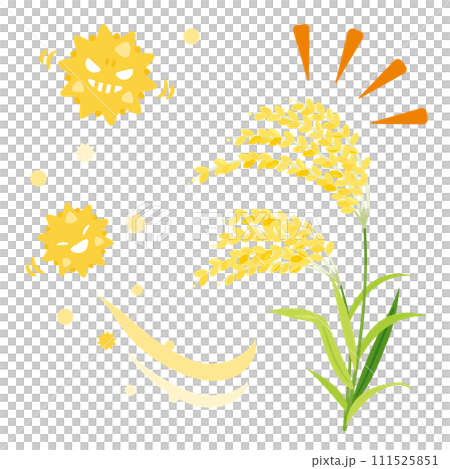 イネ科花粉が飛散するイメージ 111525851