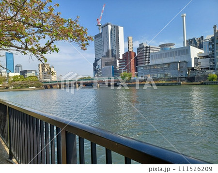 正面の川の向こうに工事中のビルと鉄橋。左側に伸びる葉桜の枝 111526209
