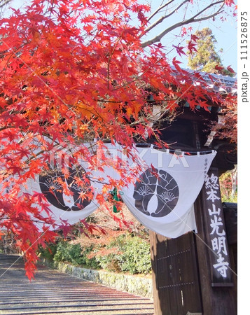 光明寺の紅葉 総門 光明寺の紅葉 総門 111526875