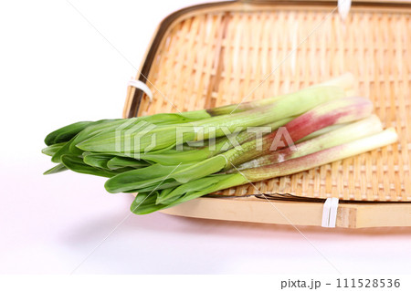 ザルの上の行者にんにく 111528536