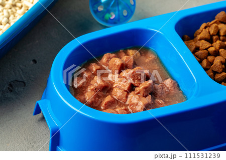 Plastic pet bowl with food on gray background Plastic pet bowl with food on gray background 111531239