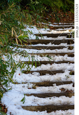 町田市の芹ヶ谷公園にて残雪の風景 111531329