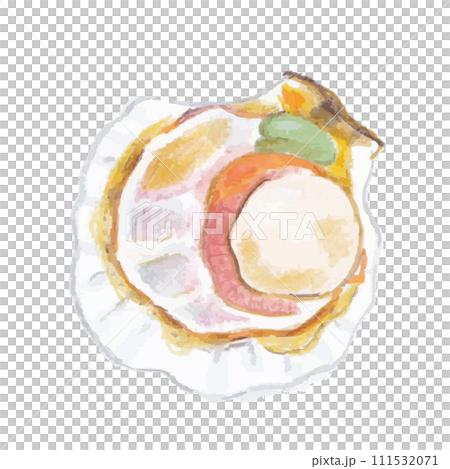 帆立のイラスト 111532071