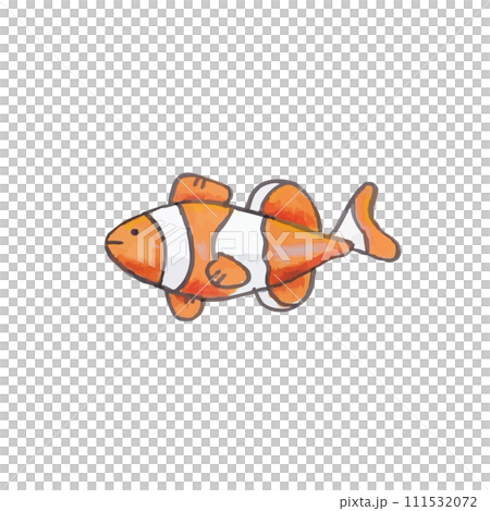 クマノミのイラスト 111532072