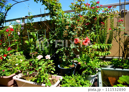 植物のある生活　緑とお花が毎日楽しめるバルコニー 111532890