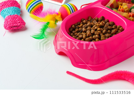 Bowl with dry pet food isolated on white background 111533516