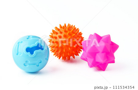 Dog pet toy isolated on white background 111534354