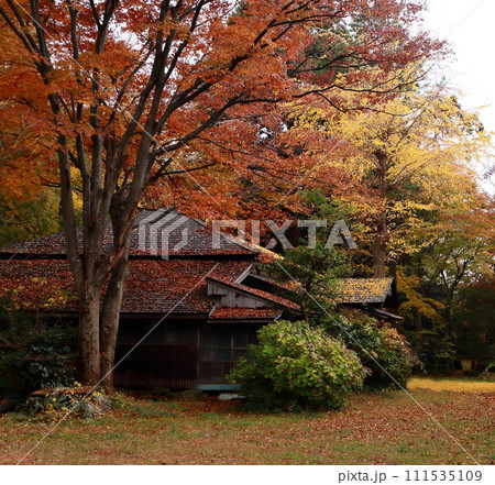 紅葉盛り落ち葉の中の古民家 紅葉盛り落ち葉の中の古民家 111535109