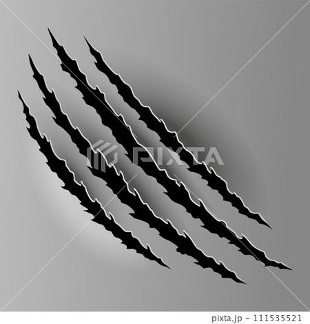 Bear or tiger claw mark. Scratches and torn traces of vector animal paw slashes. Hole in sheet of paper with torn edges. Vector illustration 111535521
