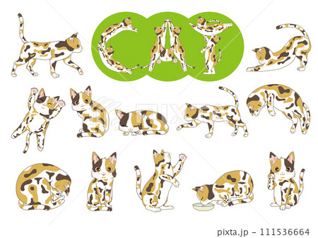 猫イラスト 111536664