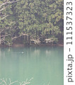 湖と鳥 111537323